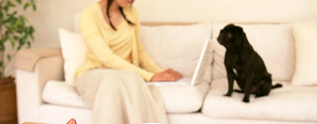 WEBで投稿した動画の閲覧者を増やすには